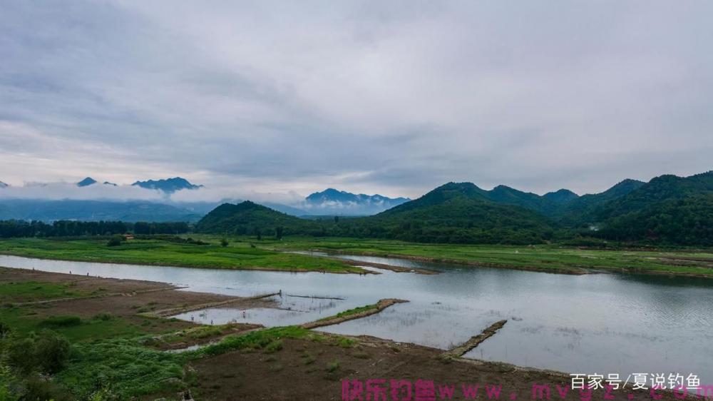 [ 鲫鱼钓 ] 六千字 台钓鲫鱼十九招 技巧大全，收藏细看(图3)