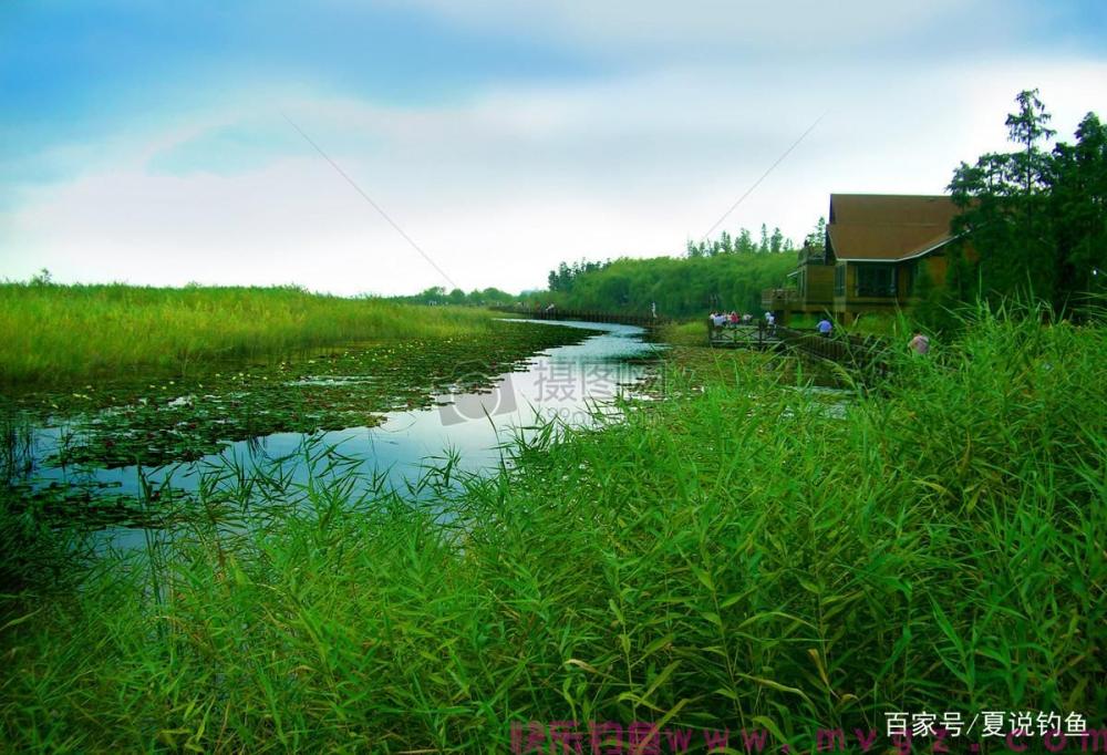 [ 鲫鱼钓 ] 六千字 台钓鲫鱼十九招 技巧大全，收藏细看(图9)