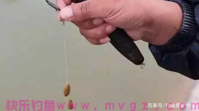 钓鲫鱼，用什么饵料最好钓？(图2)