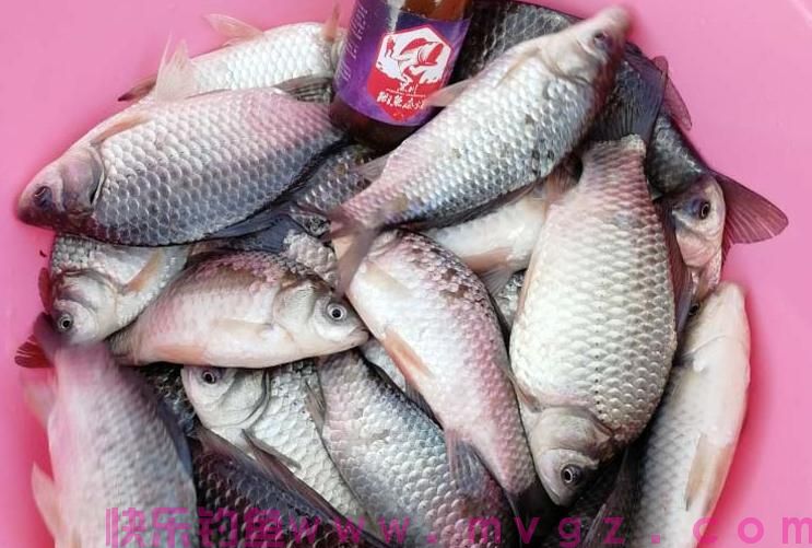 钓鲫鱼调漂的正确方法（强烈推荐）(图3)