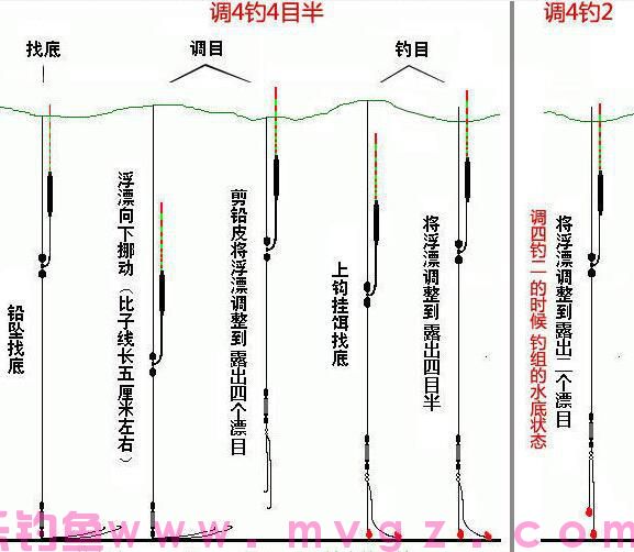 钓鲫鱼调漂的正确方法（强烈推荐）(图2)
