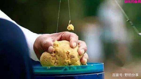 钓鱼：如何选择一款饵料？先从这3个基础认识入手！(图5)