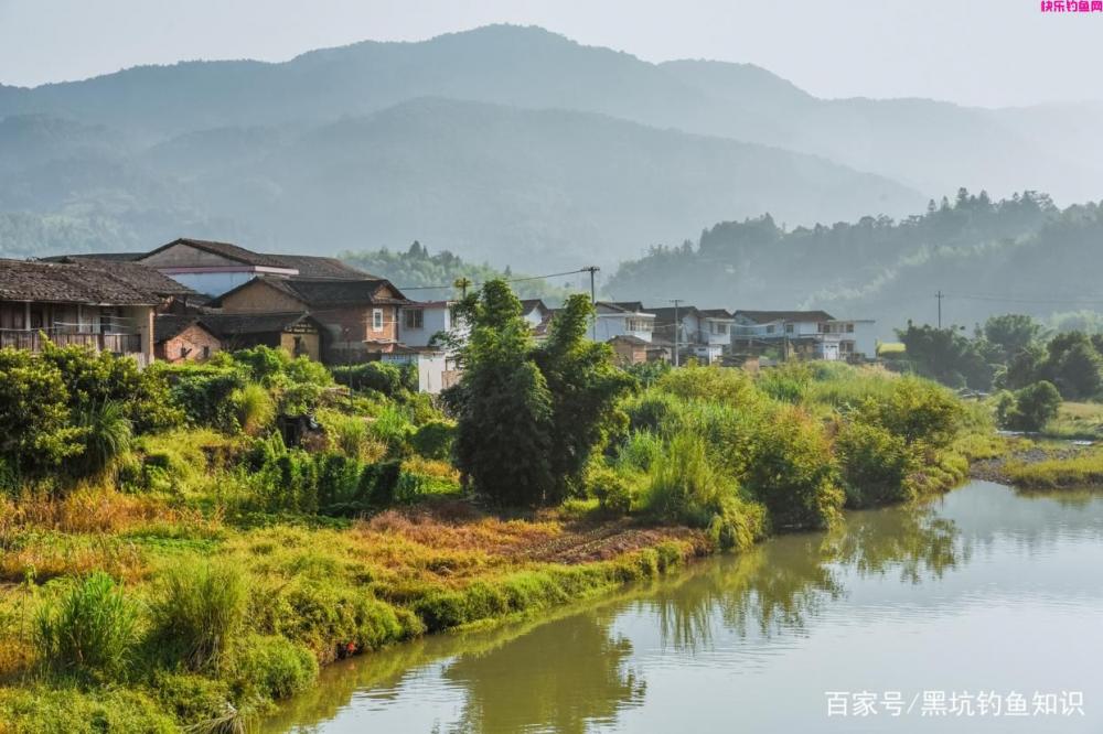 在肥水钓场应该如何使用钓鱼小药？肥水黑坑钓场鲤鱼最喜欢的味型(图2)