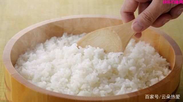 夏季野钓鲫鱼，常用这4种饵料，野生鲫鱼连竿上！(图2)