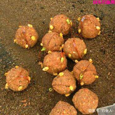 钓鱼饵料分类详解，用对饵料什么样的鱼都能钓的到！(图2)