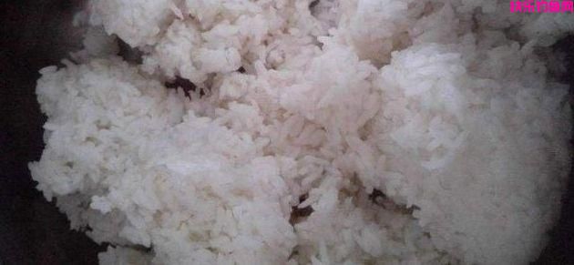 老钓友不愿透漏的3款天然饵料配方，5分钟看完，钓鱼经常爆护！(图3)