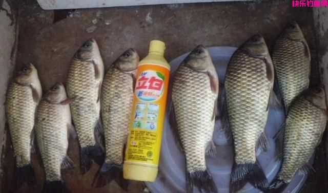 老钓友不愿透漏的3款天然饵料配方，5分钟看完，钓鱼经常爆护！(图4)