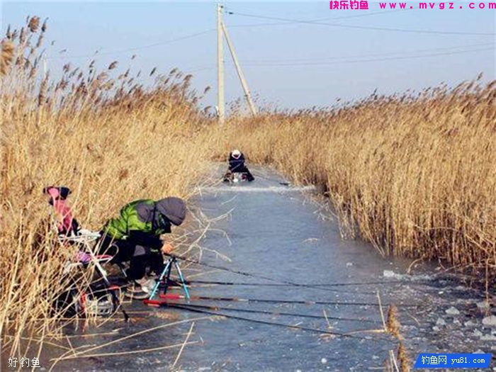 冬季钓鲫鱼,我们如何打窝才能更好的诱鱼(图1) 冬季钓鲫鱼,我们如何打窝才能更好的诱鱼(图1)