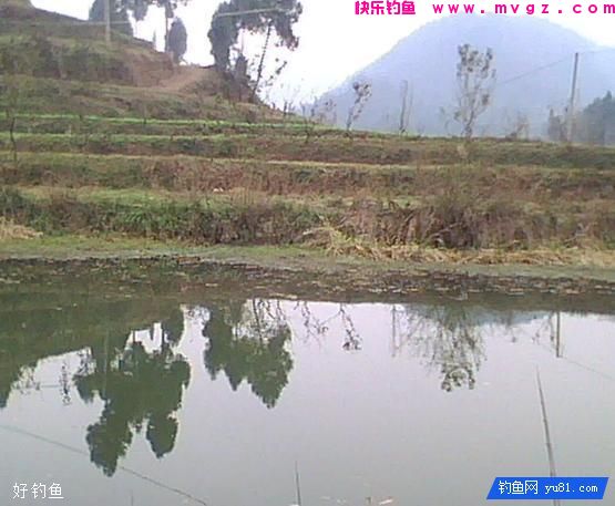 野钓鲫鱼难上钩？教你一个简单小窍门(图3)
