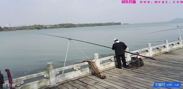 深秋初冬钓野生大板鲫用饵揭秘(图3)
