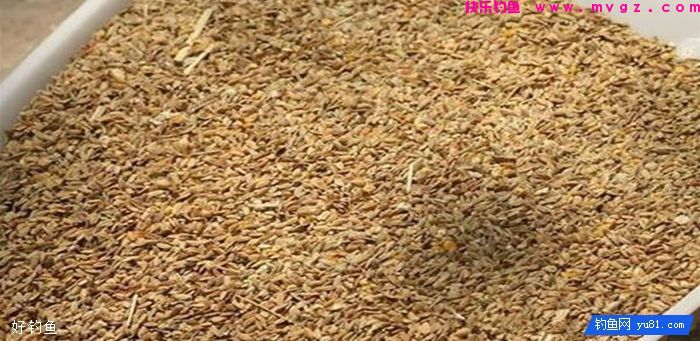 深秋野钓大鲫鱼几款常用到的自制鱼饵(图3)
