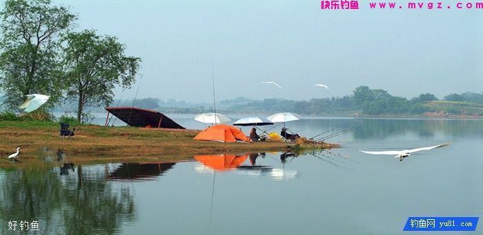 深秋野钓鲫鱼应该如何选饵？(图3)