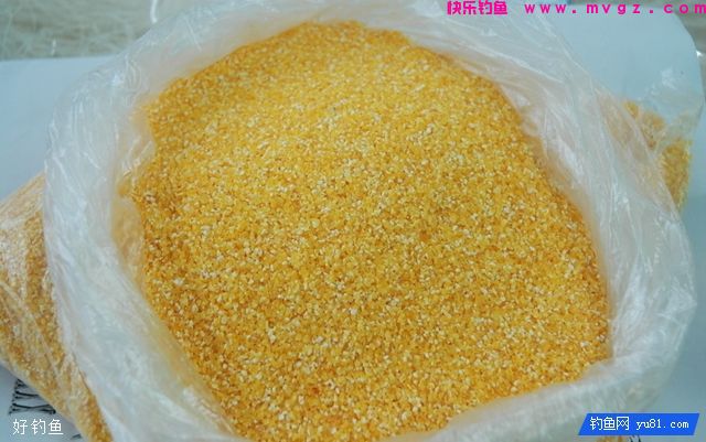 自制让你狂拉鲫鱼的天然饵料(图1)