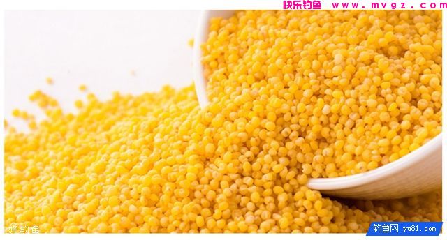 秋季野钓大鲫鱼、大鲤鱼的自制诱窝配方(图1)