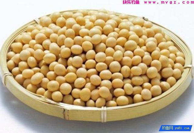 专钓野生鲫鱼的两个实用配方(图2) 专钓野生鲫鱼的两个实用配方(图2)