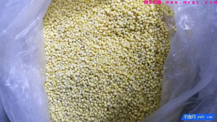 [佳饵征帖] 特效野钓鲫鲤窝料的制作详解(图3)