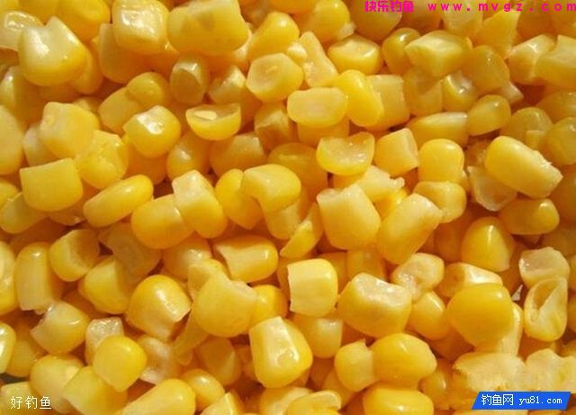 钓鲤鱼鲫鱼的窝料制作方法(图1)