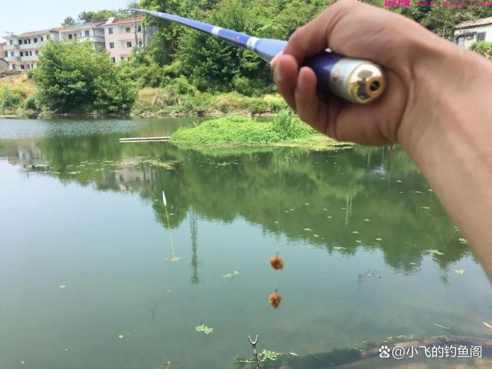 钓鲫鱼之“竿线漂钩饵”的选择，看似简单，其实非常影响鱼获(图3)