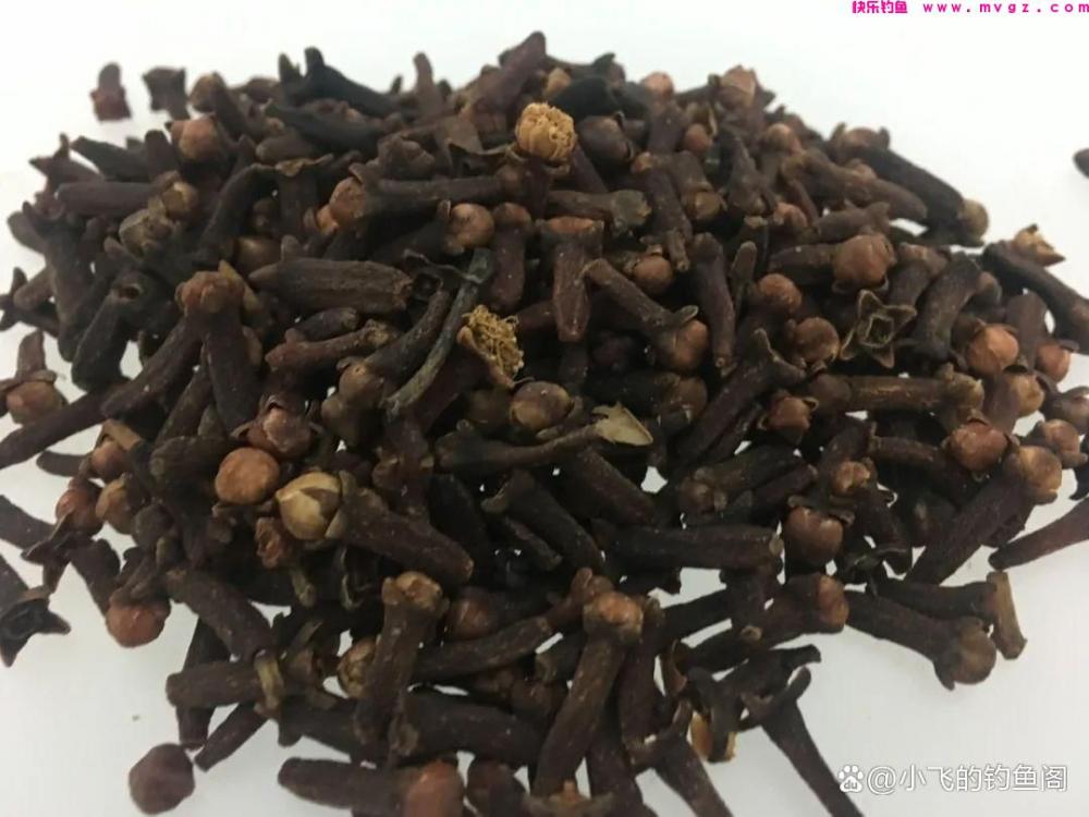 一把干麦子下水，鲫鲤全来报道！小鱼啃不动，打隔夜窝首选(图5)