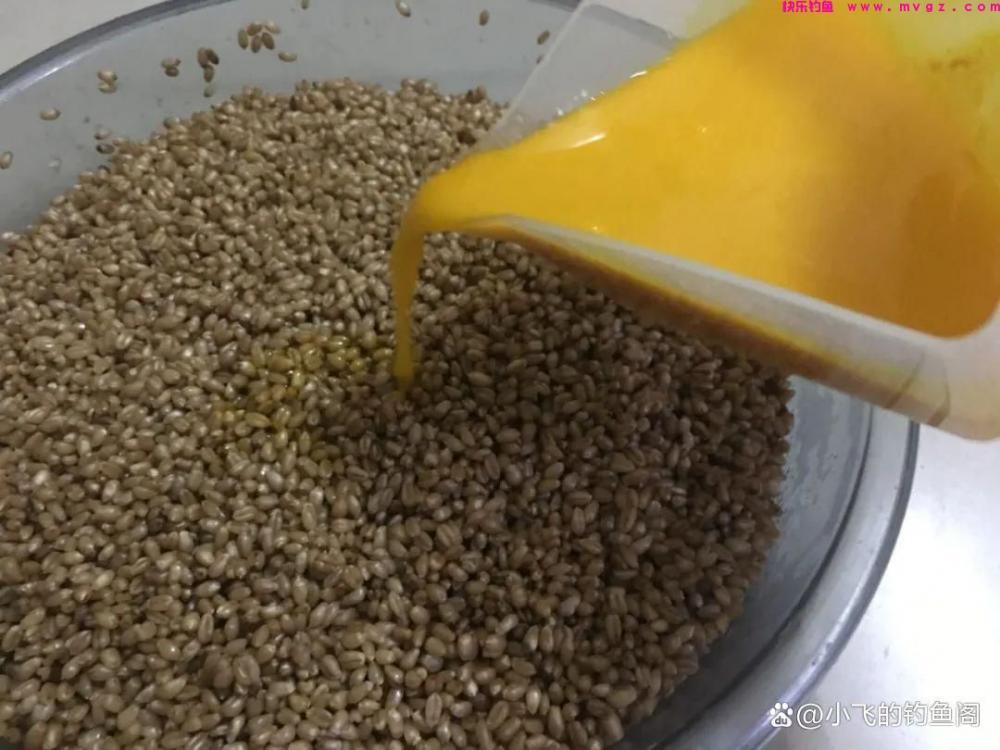 一把干麦子下水，鲫鲤全来报道！小鱼啃不动，打隔夜窝首选(图3)
