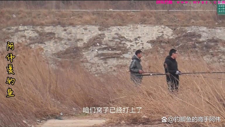 春季钓鲫鱼大晴天未必是好天气，以下几种天气反而鱼口更好！(图1)