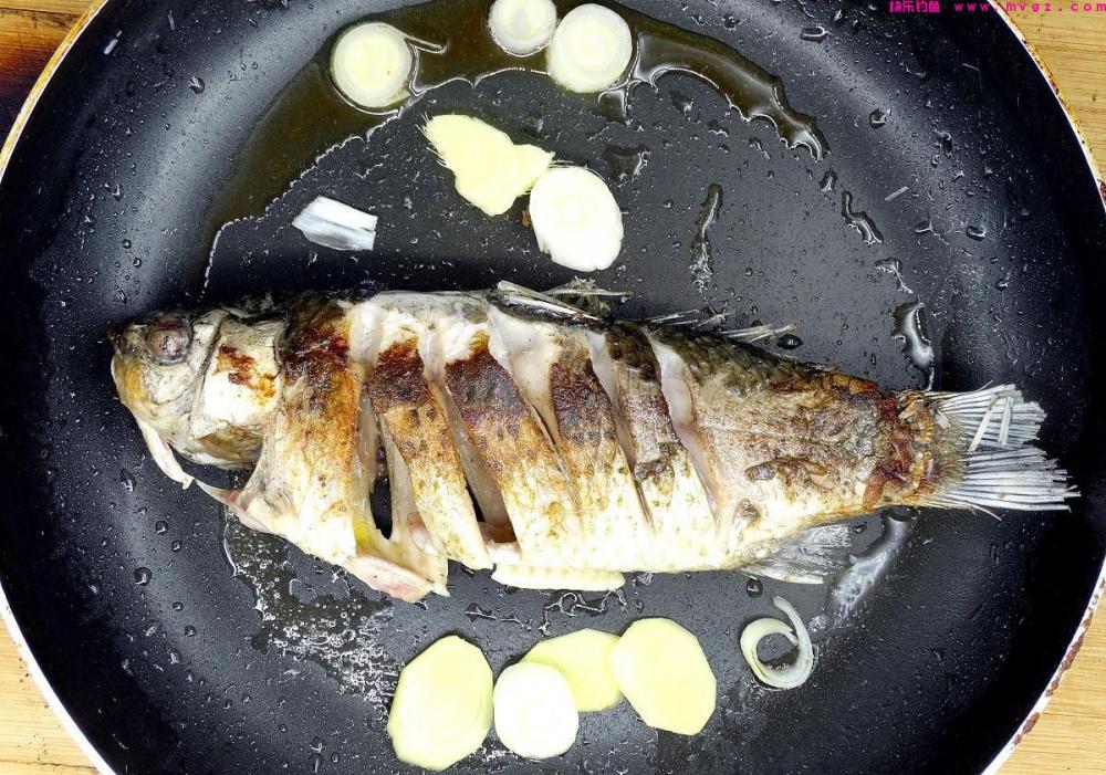 钓鲫鱼技巧：从饵料、浮漂到钓具，教你轻松上钩！(图5)