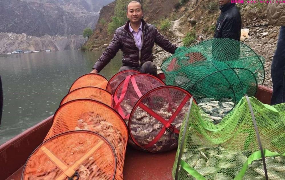 四月下旬钓鲫鱼，想要大板鲫连竿上，只需记住这7个技巧就行！(图9)