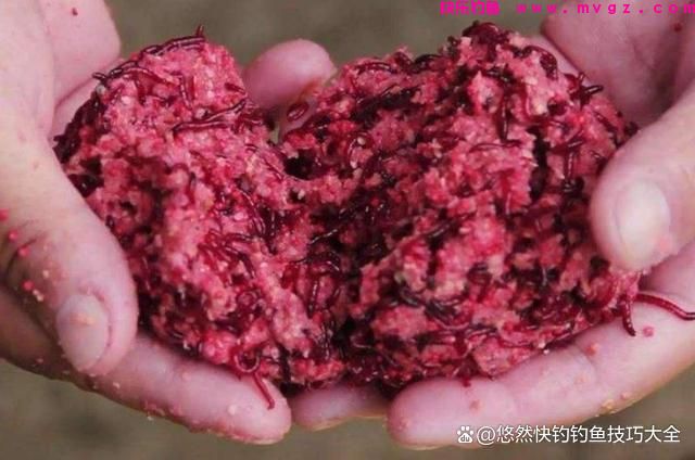 野外钓鲫鱼最好用的饵料(图3)
