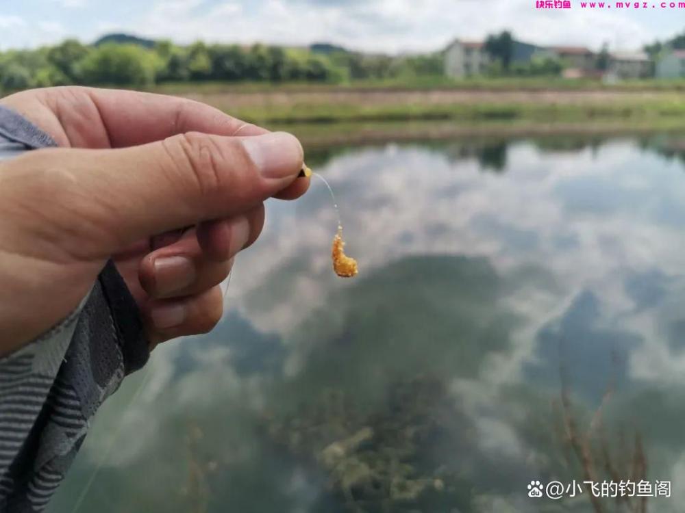 春季一过鲫鱼就没法钓了?找到对的时间和钓位,照样连杆!(图5) 春季一过鲫鱼就没法钓了?找到对的时间和钓位,照样连杆!(图5)
