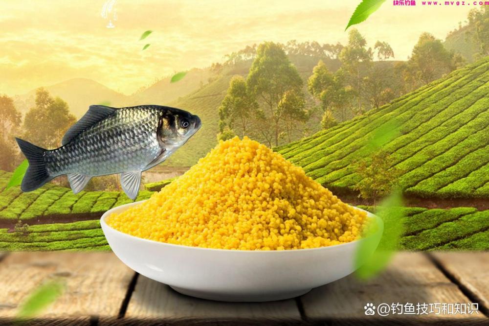 野钓鲫鱼分成四个步骤,严格按照流程走,渔获一般少不了(图4) 野钓鲫鱼分成四个步骤,严格按照流程走,渔获一般少不了(图4)