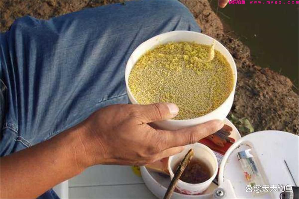 晚春钓鲫鱼，最好用的一种钓法，最适合小中取大(图4)
