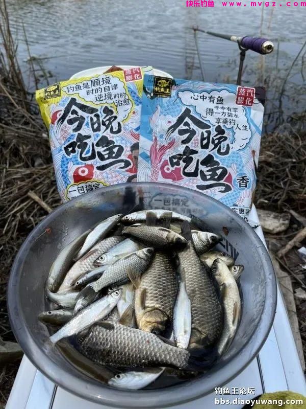 仲春钓鲫,抓住尾声(图7) 仲春钓鲫,抓住尾声(图7)