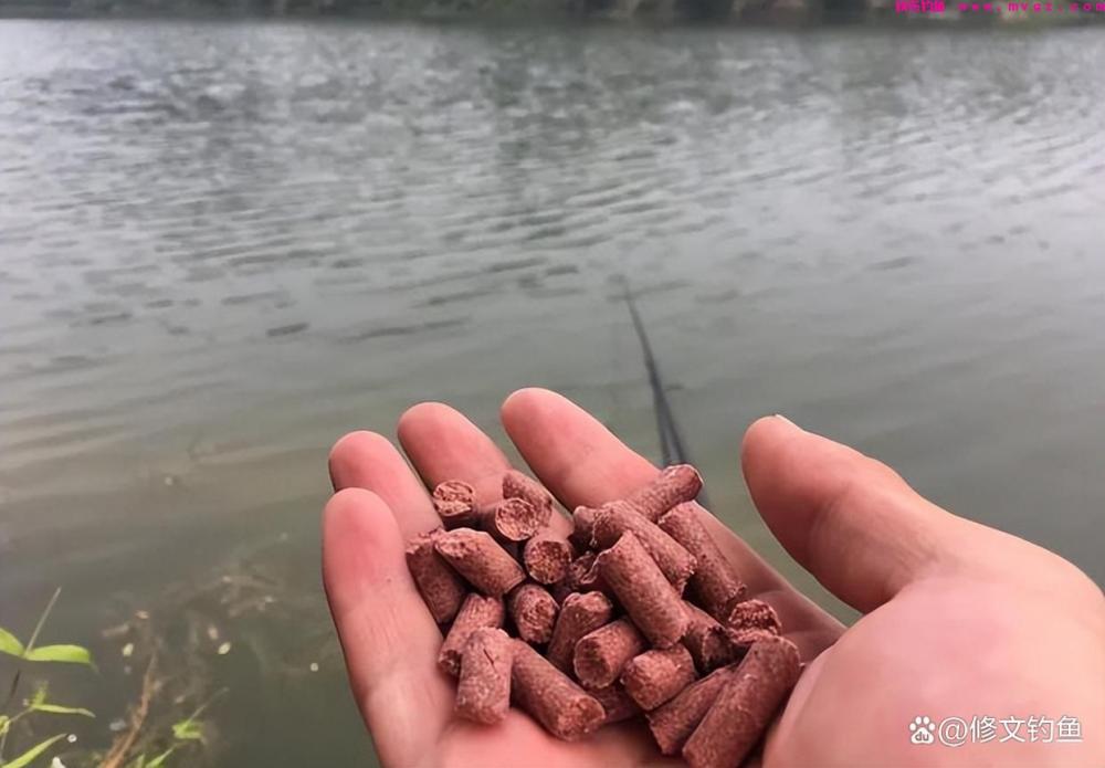 野钓大板鲫到底该如何打窝？6个细节助你爆护(图6)