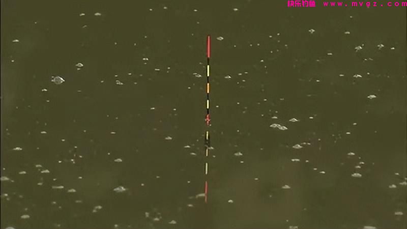 春钓鲫鱼底钓长守无口，怎么打破僵局钓得渔获颇丰？(图4)