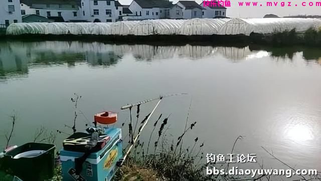春钓鲫鱼，超额完成任务，今晚吃鱼(图1)