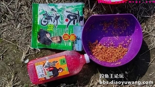春钓鲫鱼，超额完成任务，今晚吃鱼(图2)