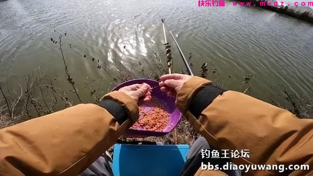 春钓鲫鱼，超额完成任务，今晚吃鱼(图6)