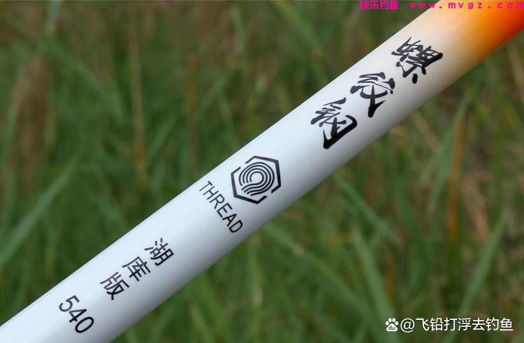 如何选择一根适合自己的台钓鱼竿(图2)