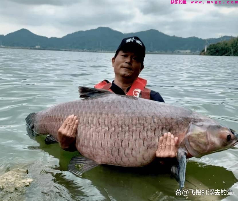 如何选择一根适合自己的台钓鱼竿(图3)