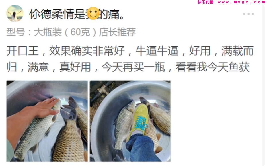 冬季无鱼可钓？学学钓鲫鱼的窍门，冬钓大板鲫比钓鲤鱼更过瘾(图12)