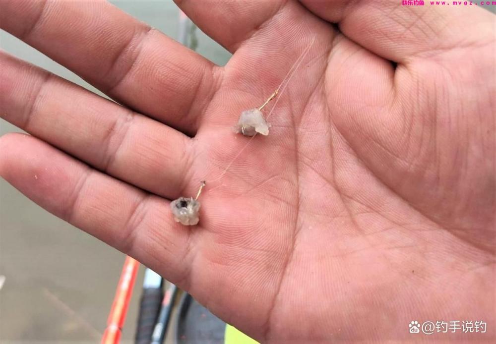 为什么冬季比夏季更好钓鲫鱼？钓鱼用这几种腥味，钓的鱼又多又大(图2)