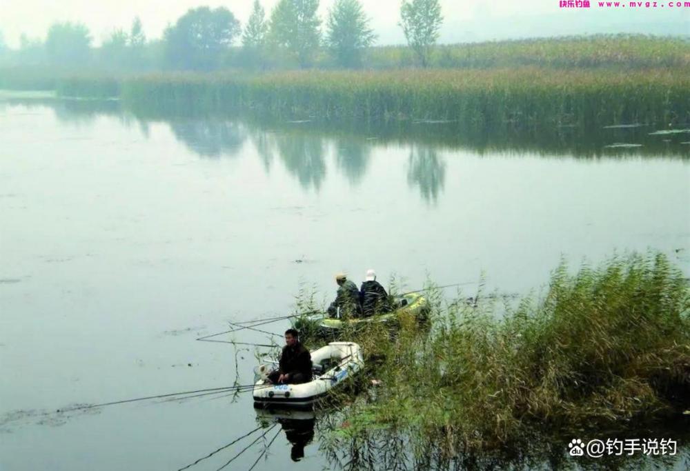 为什么冬季比夏季更好钓鲫鱼？钓鱼用这几种腥味，钓的鱼又多又大(图6)