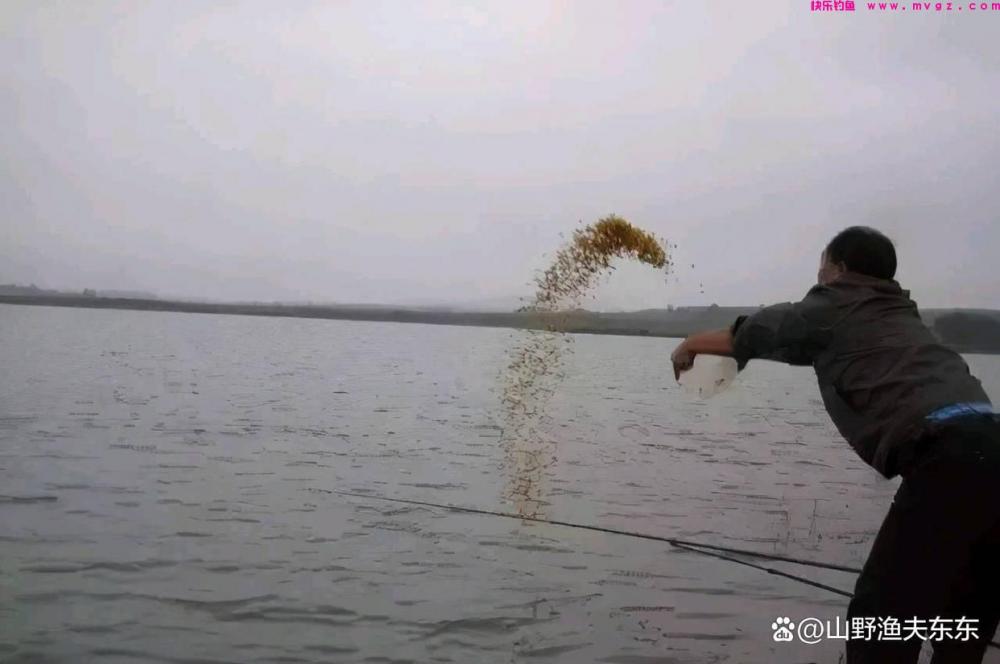 深秋钓鲫鱼，学会这些方法和技巧，上鱼效果明显(图3)