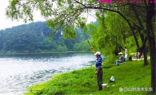 秋季野钓如何垂钓鲫鱼？注意三个要点，让你轻松钓获大板鲫(图4)