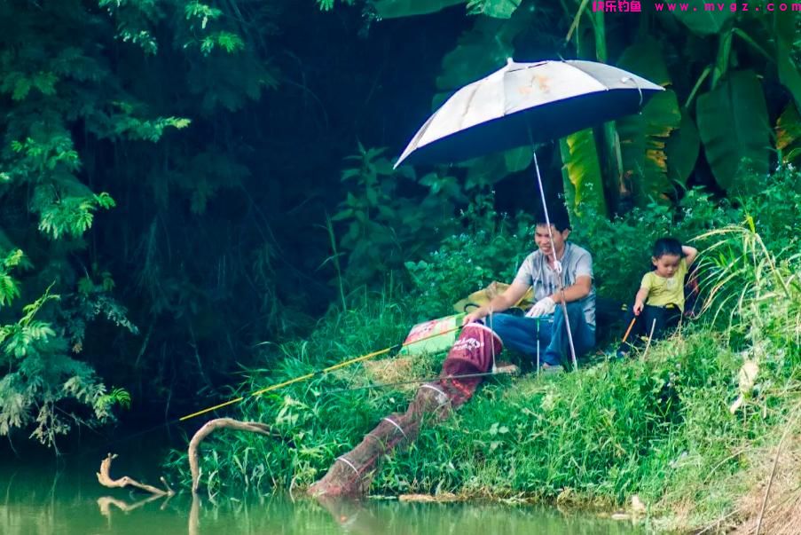 盛夏季节如何钓鲫鱼?注意这三点就够了,大板鲫并不难钓(图2) 盛夏季节如何钓鲫鱼?注意这三点就够了,大板鲫并不难钓(图2)