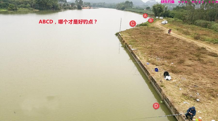 夏季钓鲫鱼,有三类钓位需要避开,钓鱼新手一定要多看看(图4) 夏季钓鲫鱼,有三类钓位需要避开,钓鱼新手一定要多看看(图4)