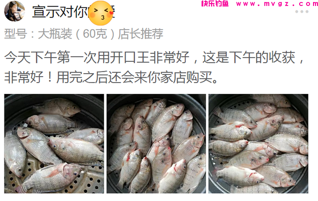 为何野钓时，钓到的多是小鲫鱼，做好这3点，竿竿有大鲫鱼(图11)