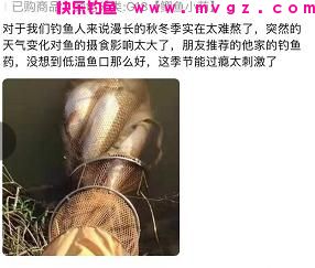 为啥钓鲫鱼的人越来越多？谨记2种特色钓法，上鱼又快又狠(图9)