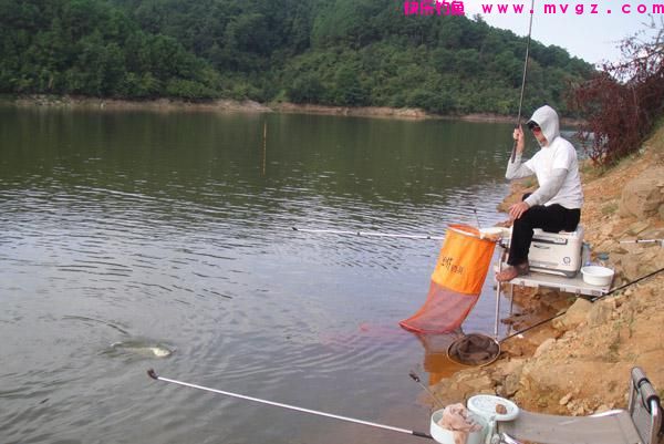 野钓鲫鱼，如何正确使用传统钓，台钓！方法对路，鲫鱼爆护！(图5)