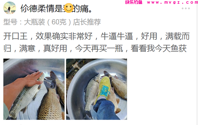 野钓鲫鱼，如何正确使用传统钓，台钓！方法对路，鲫鱼爆护！(图12)